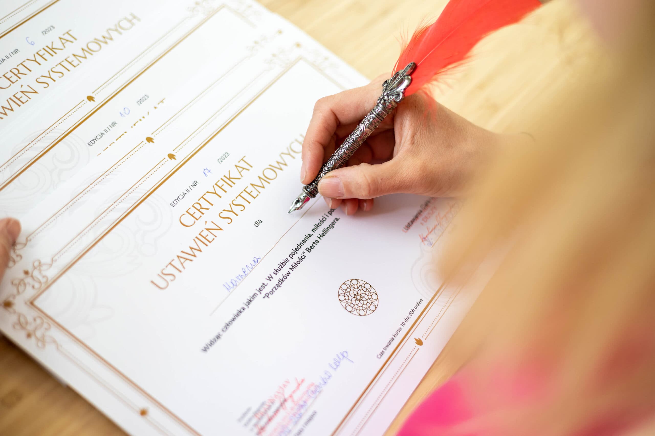 Certyfikat ukończenia Kursu Ustawień Systemowych